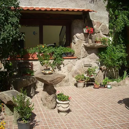 Bed & Breakfast Sa Rosa E Su Trapperi
